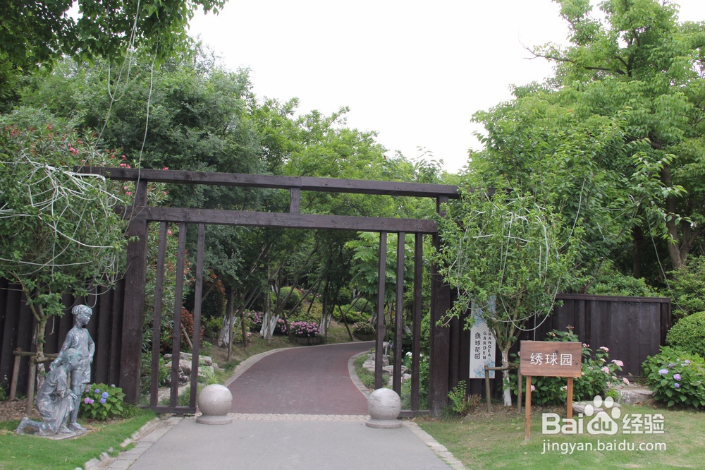 上海旅游攻略之周浦花海