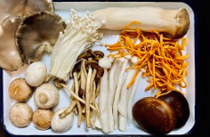 鲜到起飞的菌菇汤