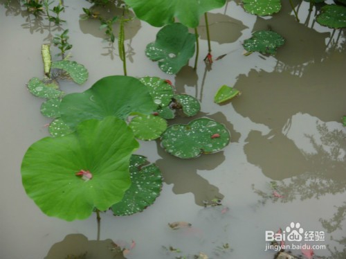 苏州有什么好玩的地方,苏州的景点都有哪些