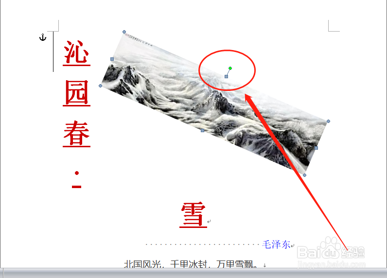 word如何/怎么快速设置插入图片大小/添加阴影?