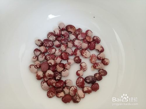 红芸豆怎么做好吃