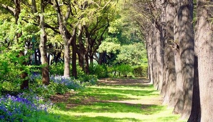 共青森林公园烧烤最全攻略