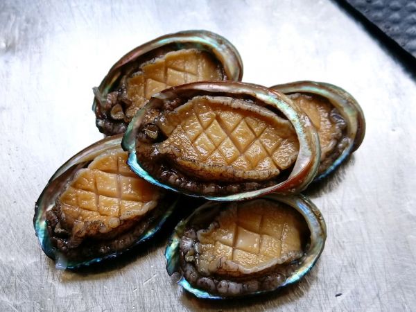 虫草花鲍鱼龙骨汤