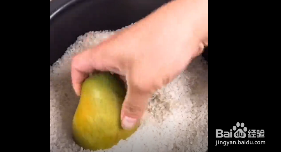 教你一招芒果快速催熟