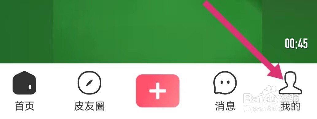 皮皮虾如何查看简版隐私政策？