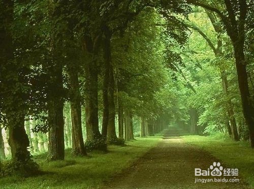 四十不惑什么呢？让我告诉你