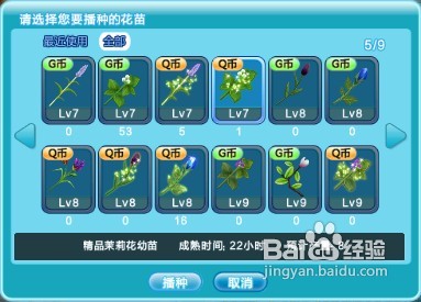 QQ炫舞G币花园花朵一览