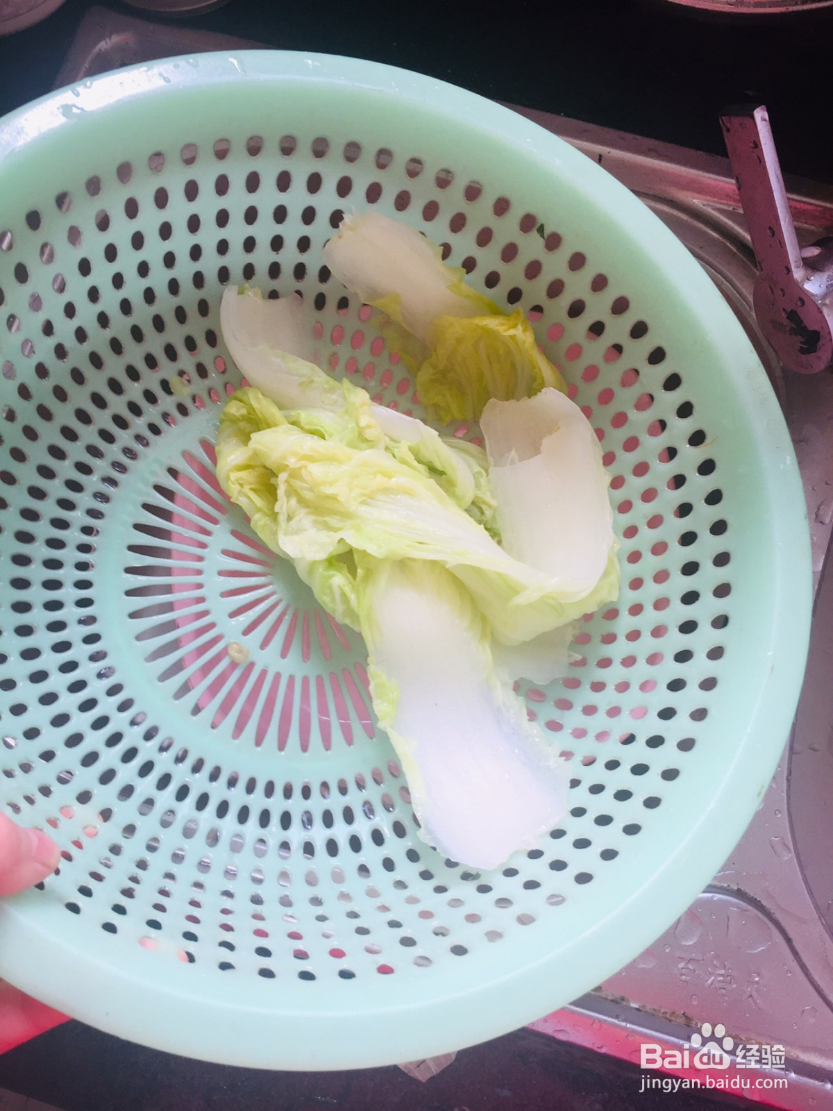 猪肉粉条白菜包子的做法