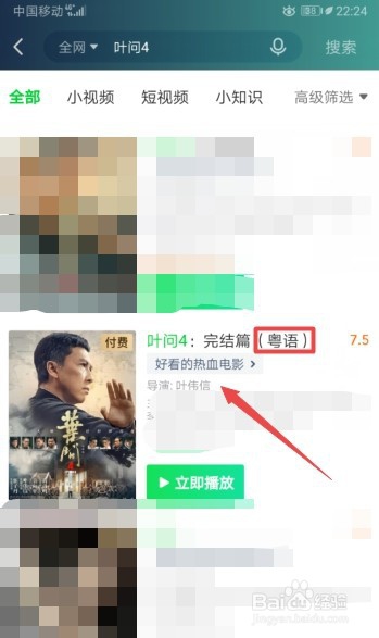 叶问4完整奥语版在哪看？如何观看奥语版叶问4？