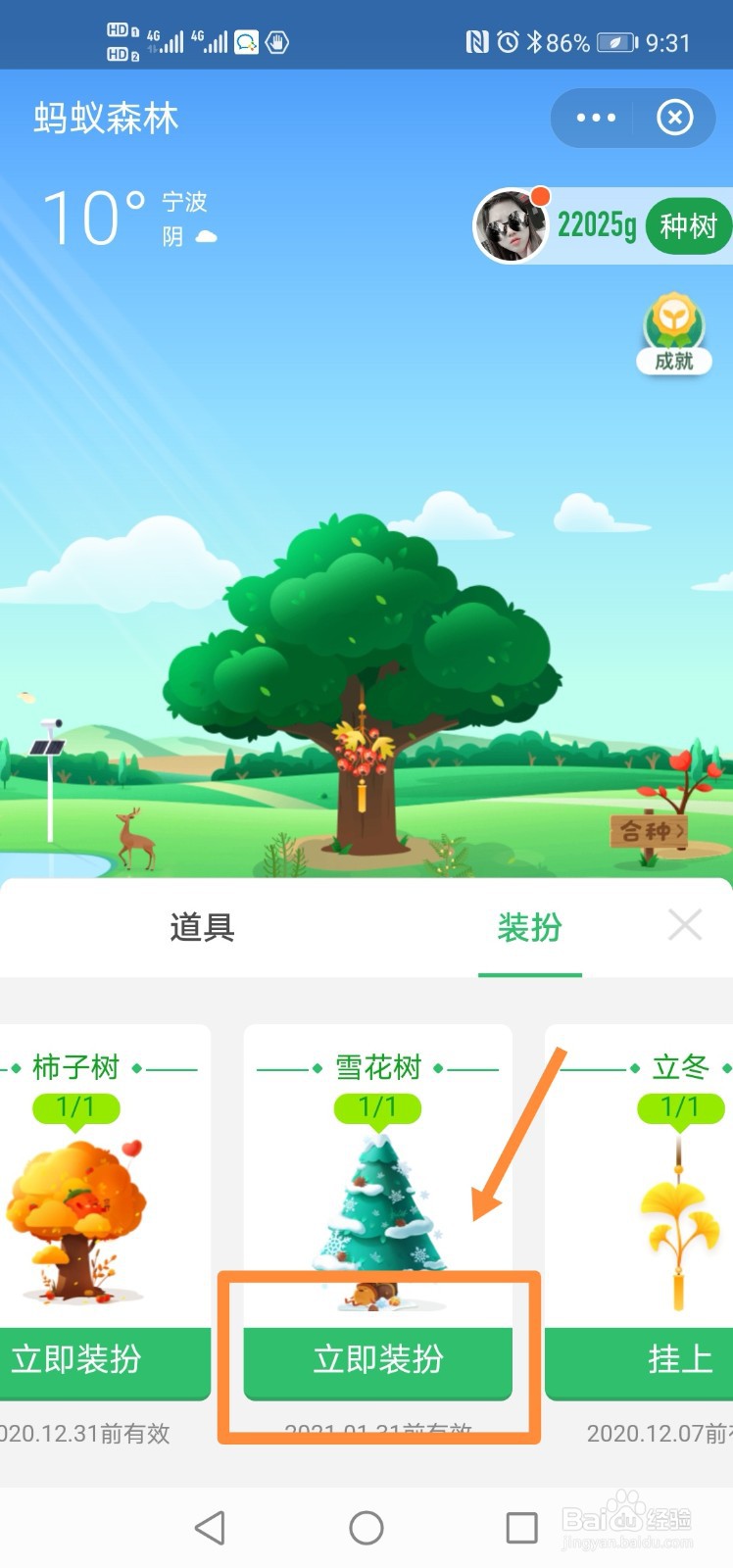 支付宝蚂蚁森林如何装扮雪花树？