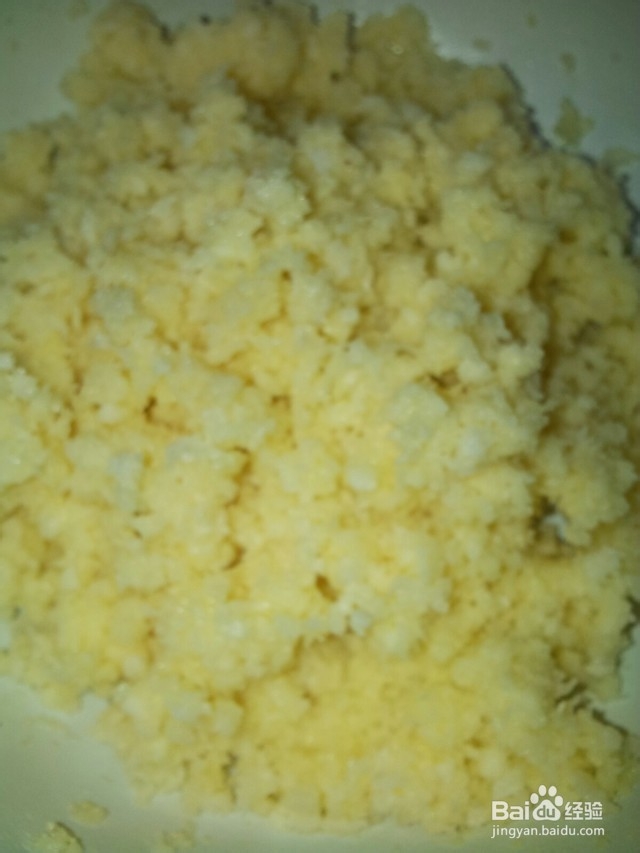 椰蓉牛奶蝴蝶包