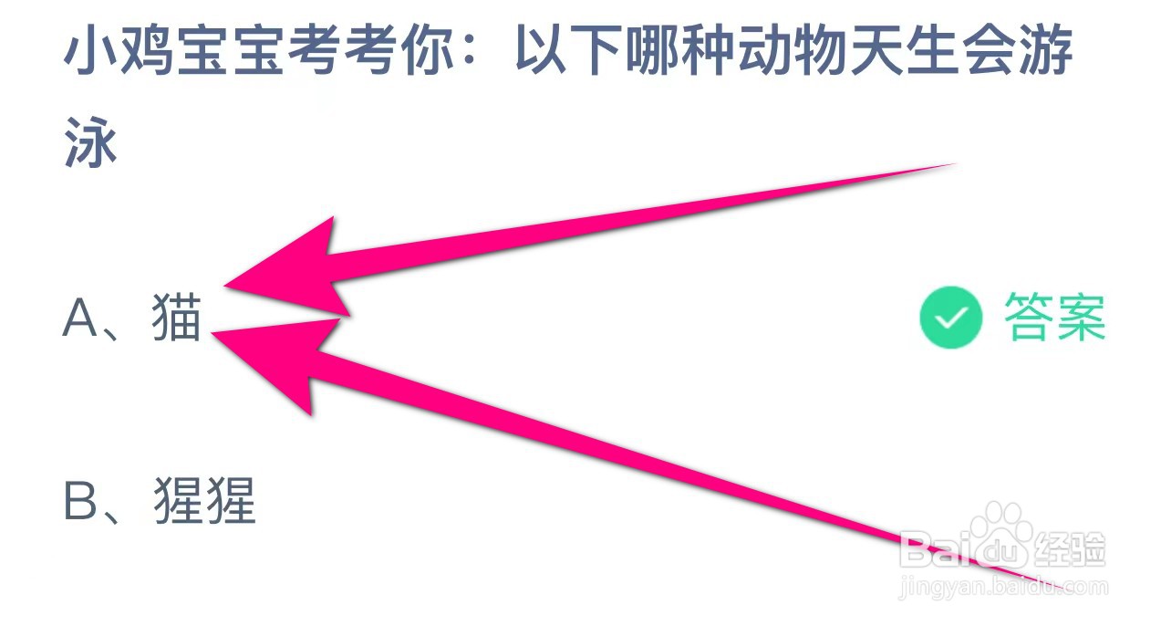 小鸡宝宝考考你: 以下哪种动物天生会游泳