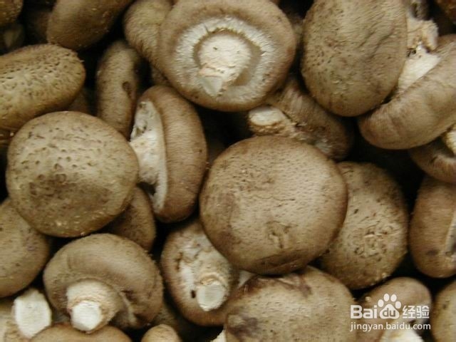 秋季减肥大作战 推荐4款美味减肥到底