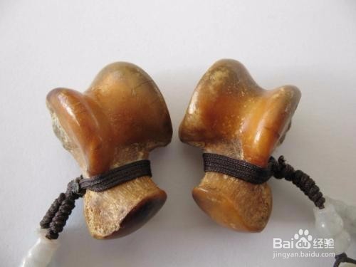 狼髀石如何辨别左右?