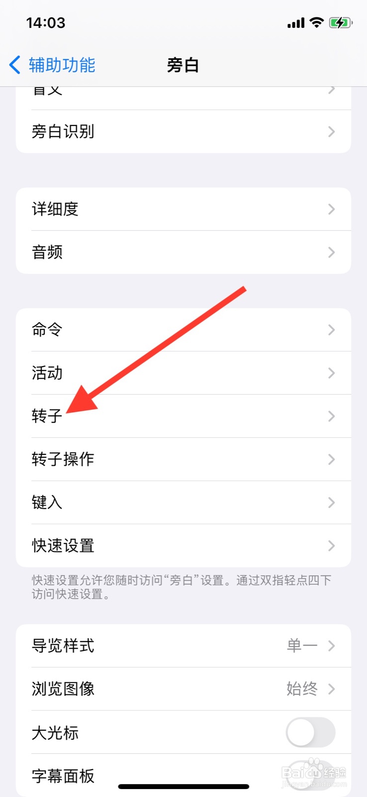 iPhone怎样增加旁白转子“盲文缩放”指令