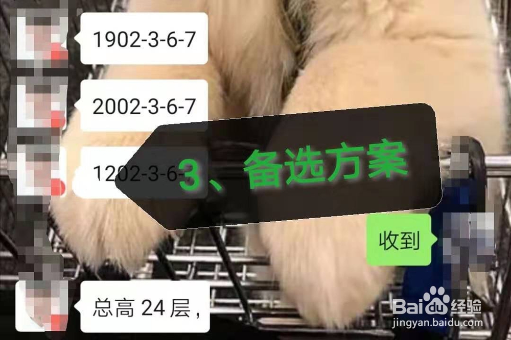 开盘摇号选房的流程及注意事项