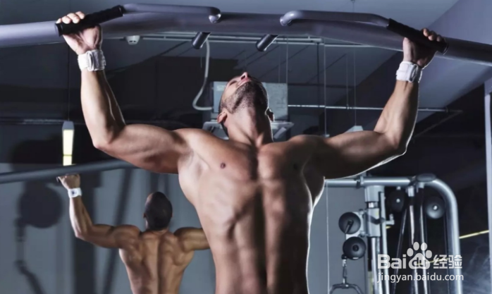被引体向上虐爽了！5重训练让巨背提前降临~
