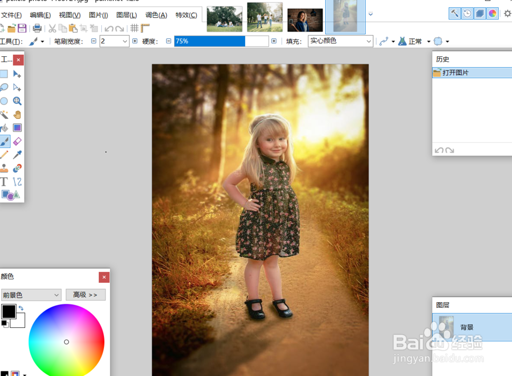 怎么用paintnet将图片做成扭曲的效果