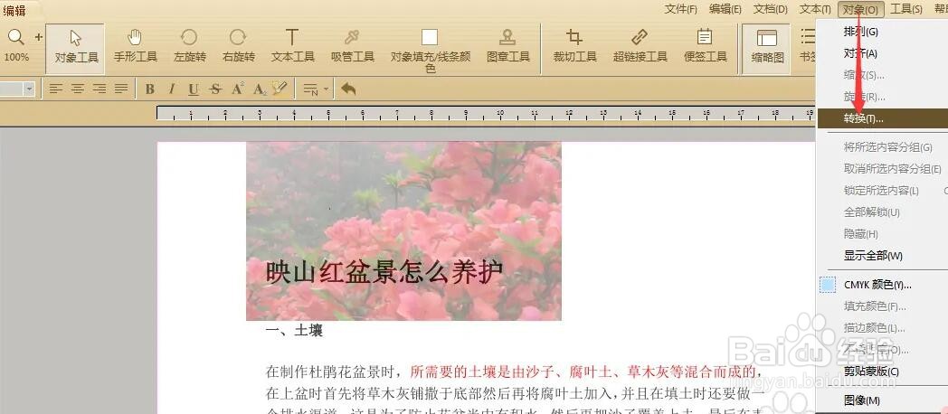 如何修改PDF中图片的大小尺寸