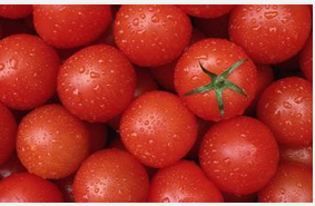 西红柿生吃还是熟吃