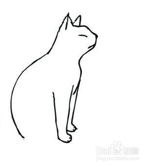 画猫的前腿       在猫头下面右侧画上三条竖线将其封闭连接,并画上