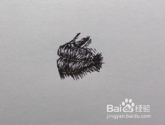 如何画嘴唇（侧面）一步一步教你画嘴唇