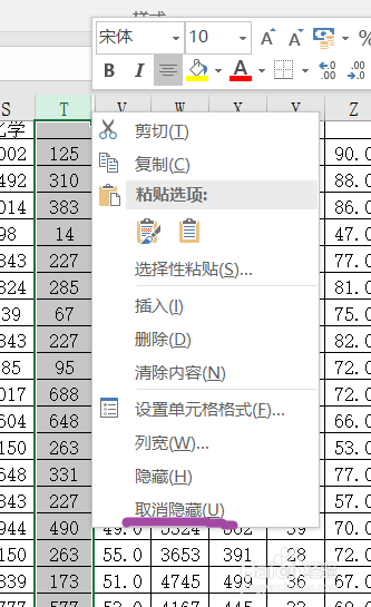 怎样隐藏Excel文档的部分内容