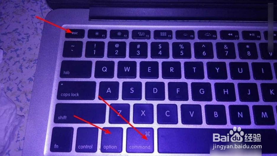 苹果电脑鼠标不见了