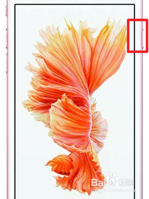 iphone 无法关机也无法操作