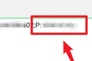 用wifi万能钥匙连上wifi后怎么查看密码?