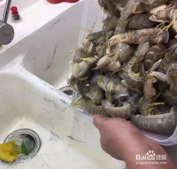 潮汕正宗生腌虾的做法