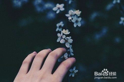 如何迎接全新的2018年？