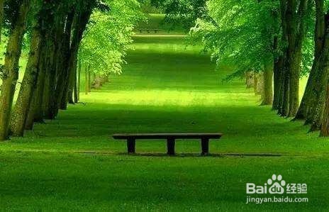 如何与婆婆和平共处