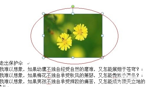 如何将word中的指定文字批量替换为图片?