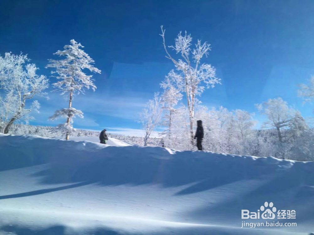 雪景的美丽和魅力