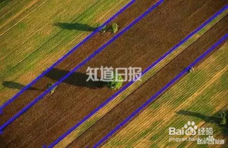 七个航拍构图技巧，让你秒变大师！