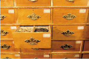 中草药生虫如何防止