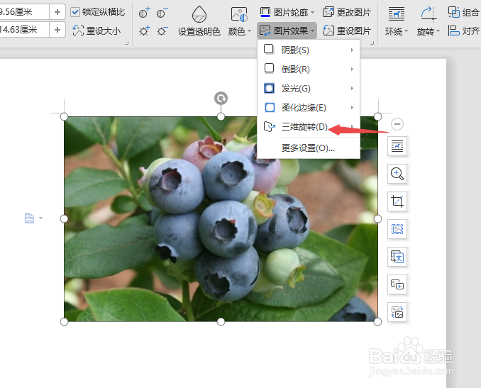 WPS文字中如何将图片设置成三维旋转效果