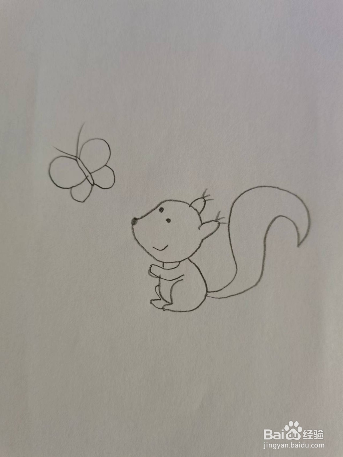 贪玩的小松鼠怎么画