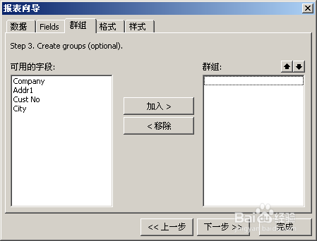 fastreport中文版入门教程之报表向导