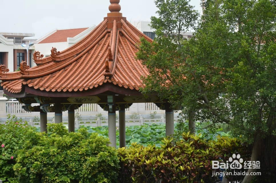 我的溜溜海南-：[8]厦门旅游攻略