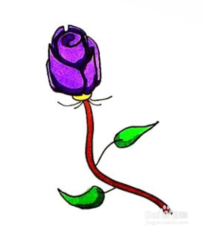 美丽玫瑰花简笔画