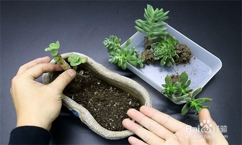 感觉到人生没有希望怎么办