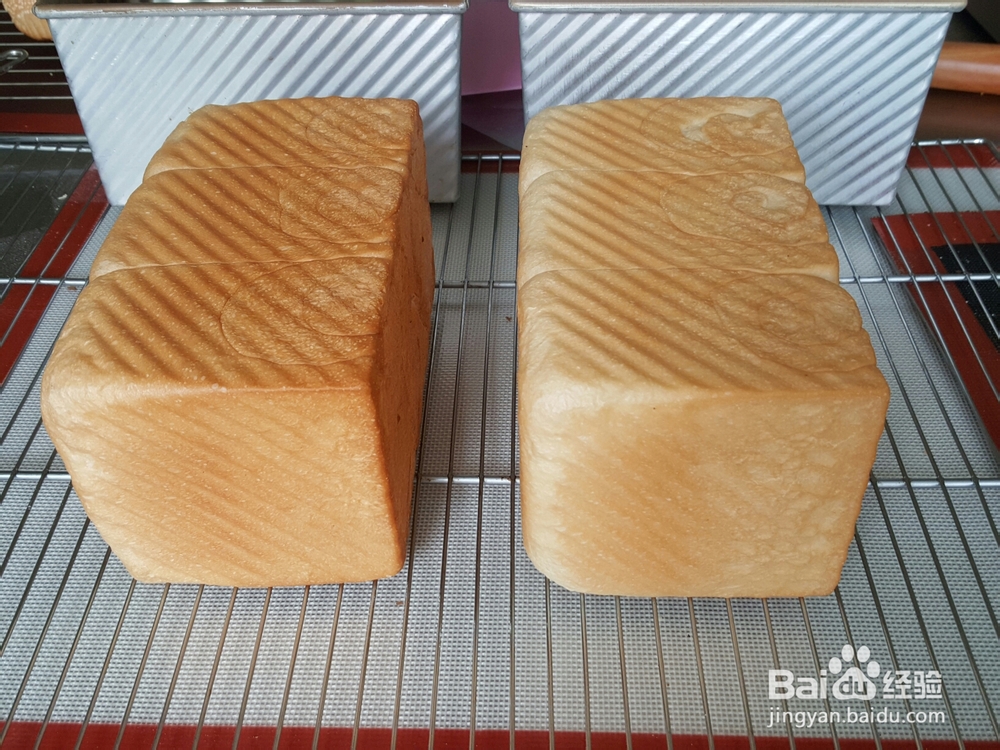 看完就会的荞麦土司