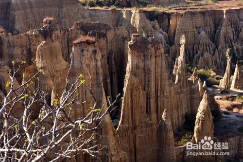 元谋土林旅游攻略