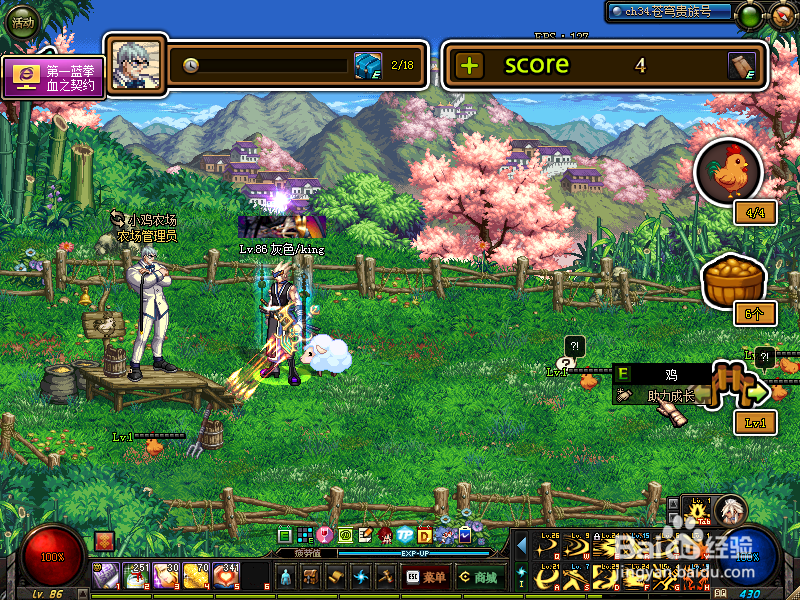 DNF小鸡大作战活动详解