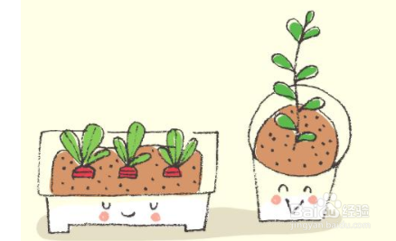 盆栽蔬菜，没有院子也可以