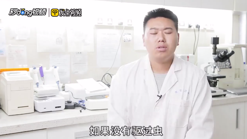 猫拉肚子但是精神很好是什么原因
