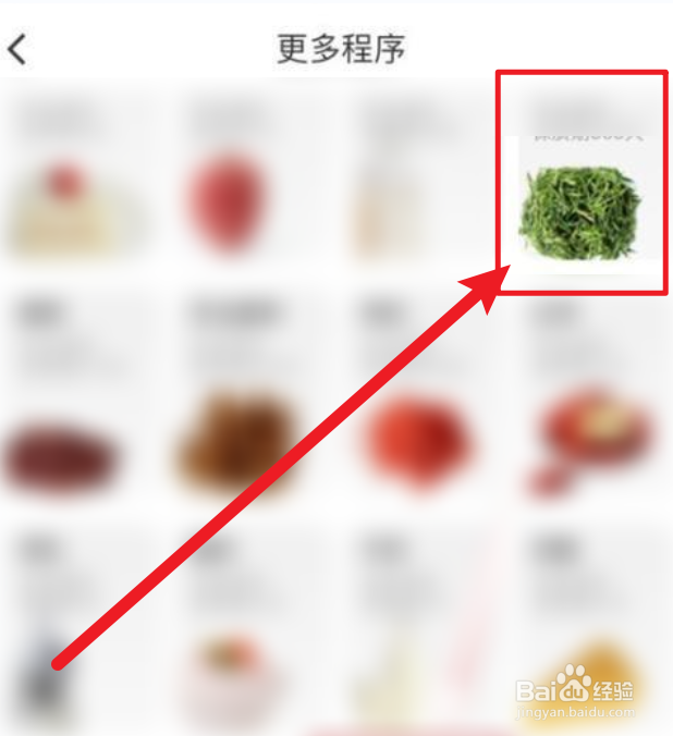 紫藤花怎么保鲜储存