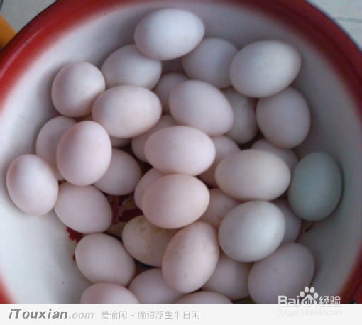 DIY保鲜膜腌咸鸭蛋!